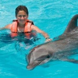 Encuentro con Delfines en Cancún - Envío Gratuito