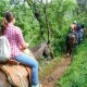 Cabalgata en Malinalco - Envío Gratuito