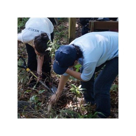 Estancia Revive en Veracruz - Envío Gratuito