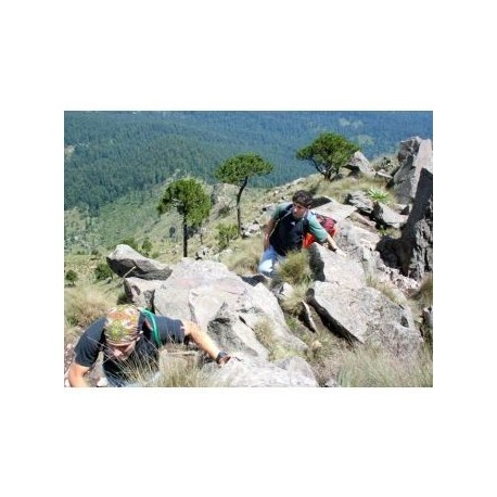 Alpinismo en Pico del Aguila - Envío Gratuito