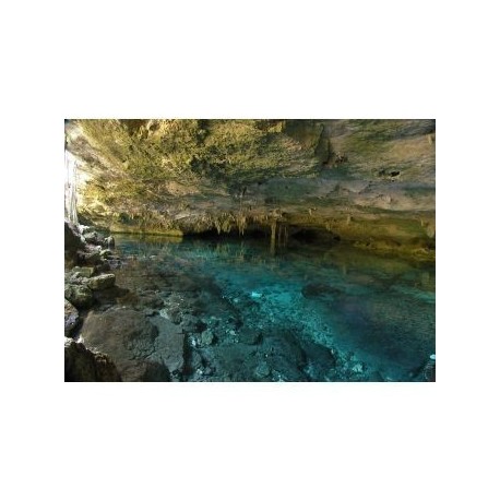 Snorkeling Dos Ojos Riviera Maya - Envío Gratuito