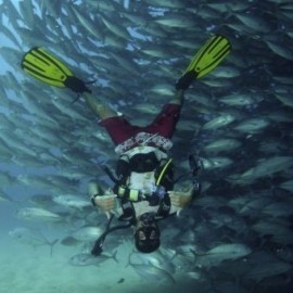 Curso de buceo en Baja California Sur - Envío Gratuito