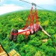 Tirolesa / Bungee swing / Snorkel y más - Cancún - Envío Gratuito