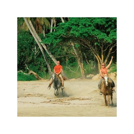 Surf / Paseo a caballo ·SAYULITA, NAYARIT· - Envío Gratuito